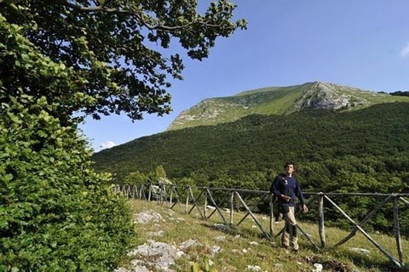Appartamento Il Grillo Fossato di Vico Quarto foto
